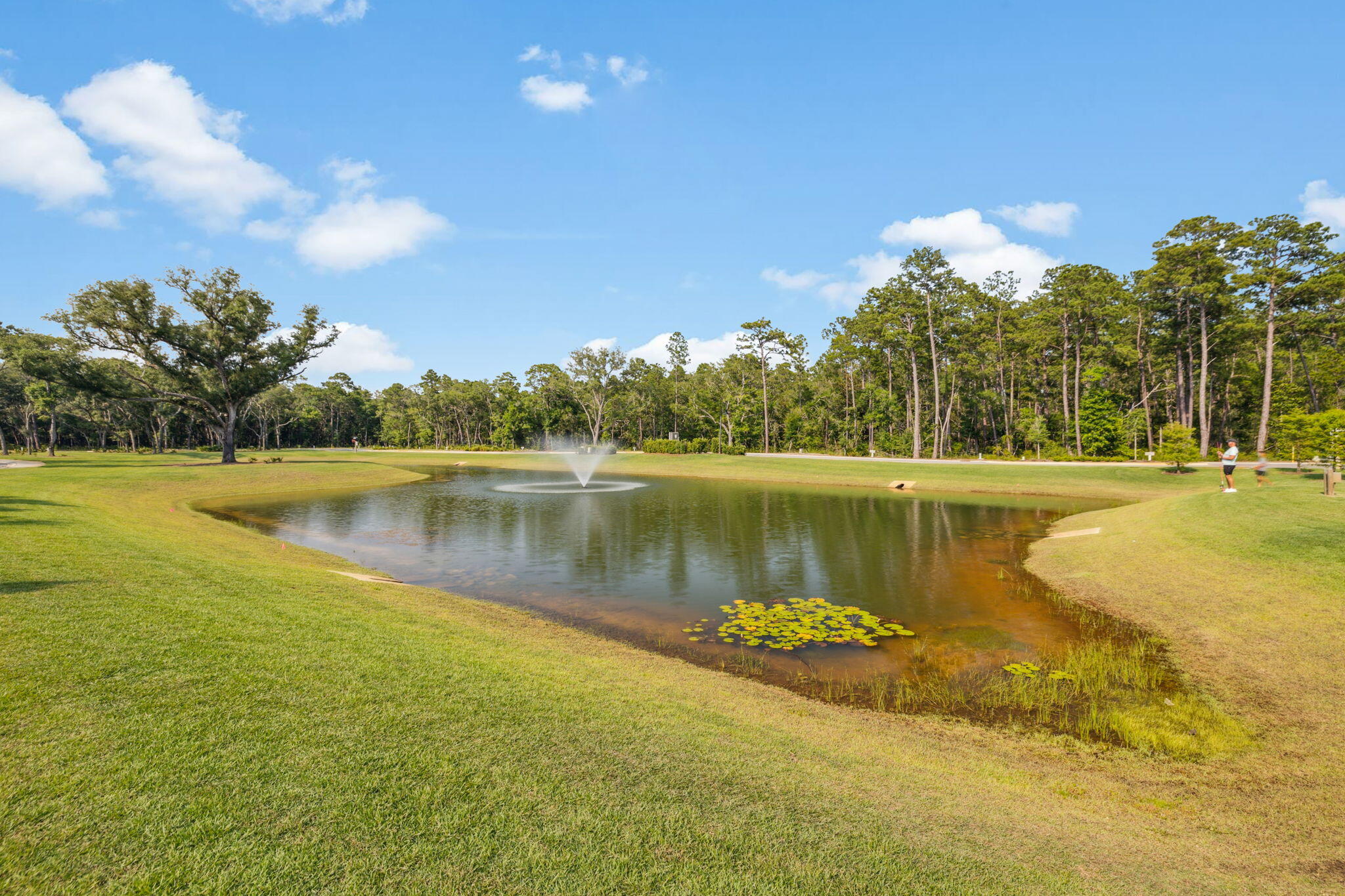 Oak Grove at Eden's Landing - Residential