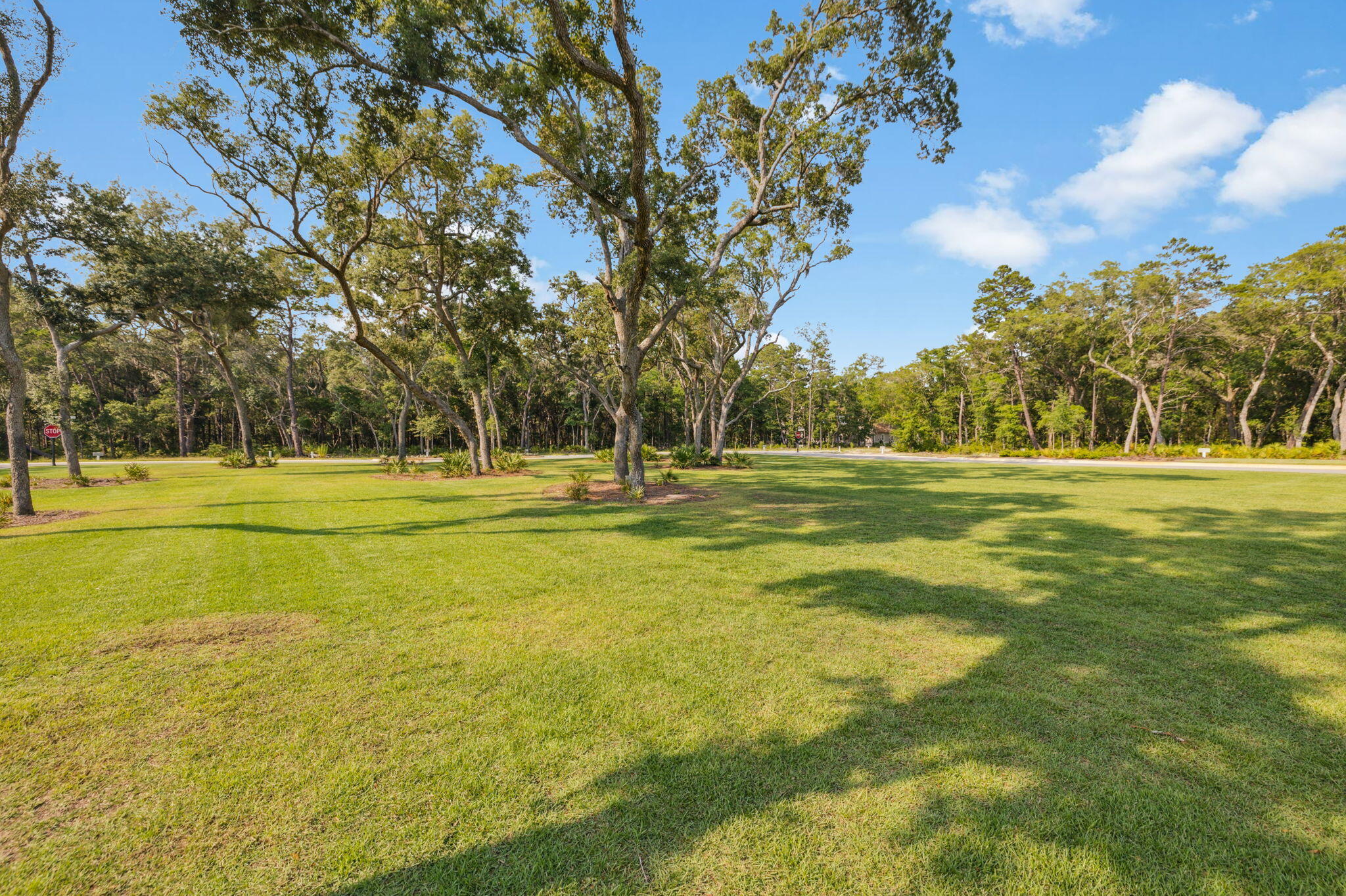 Oak Grove at Eden's Landing - Residential