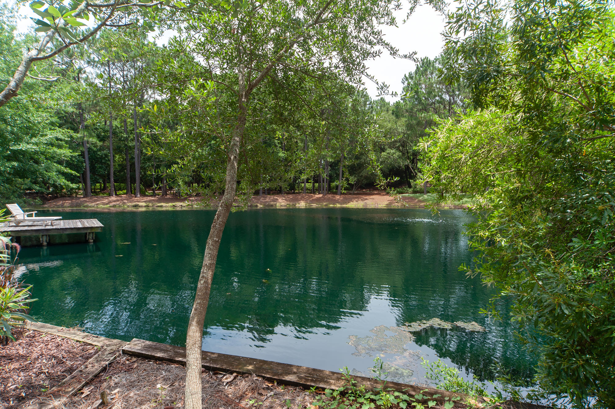 PRESTWICK PLACE - Residential