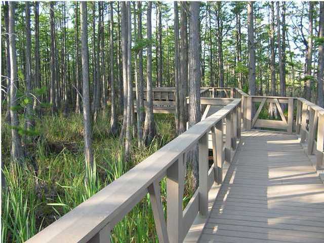 CYPRESS DUNES - Land