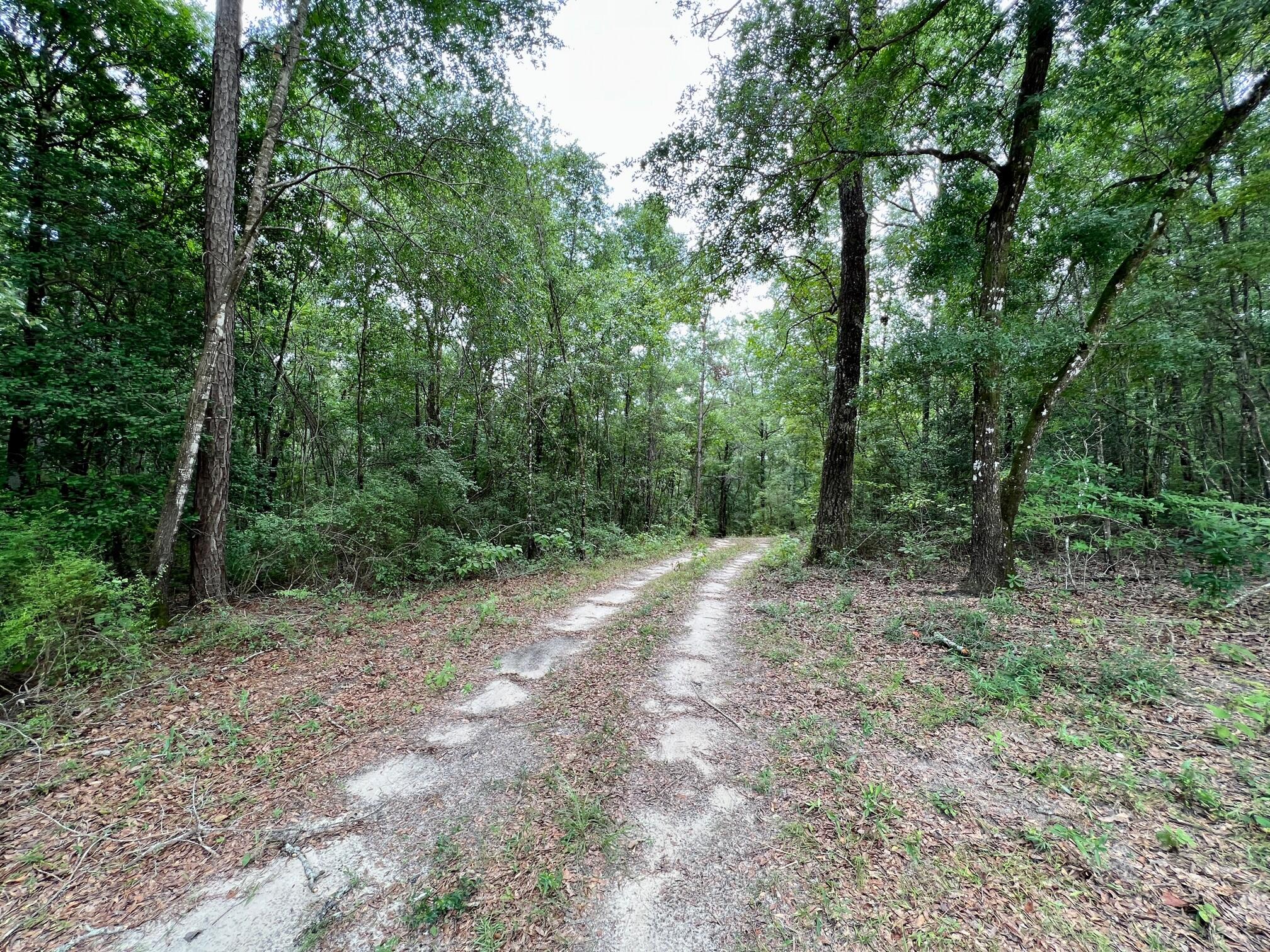 METES & BOUNDS - Land