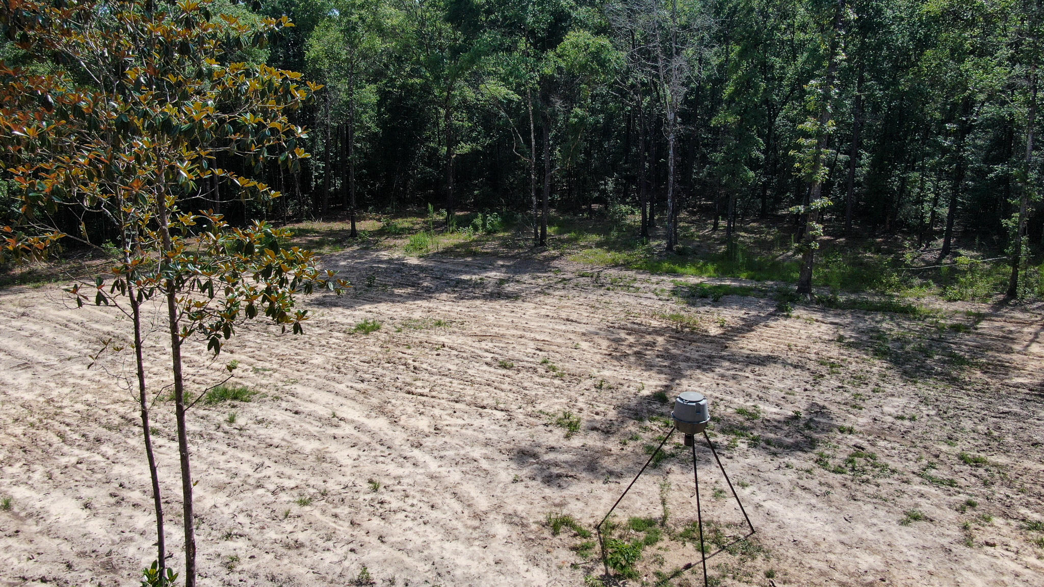 METES & BOUNDS - Land