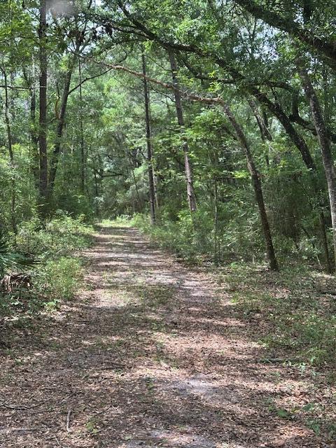 Unincorporated Bay County commonly referred to as Otter Creek - Farm