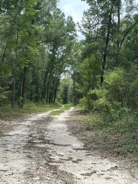 Unincorporated Bay County commonly referred to as Otter Creek - Farm