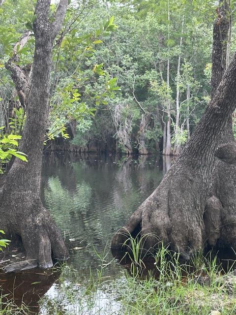 Unincorporated Bay County commonly referred to as Otter Creek - Farm