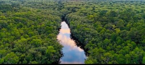 Unincorporated Bay County commonly referred to as Otter Creek - Farm