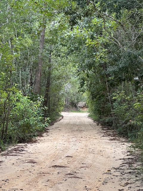 Unincorporated Bay County commonly referred to as Otter Creek - Farm