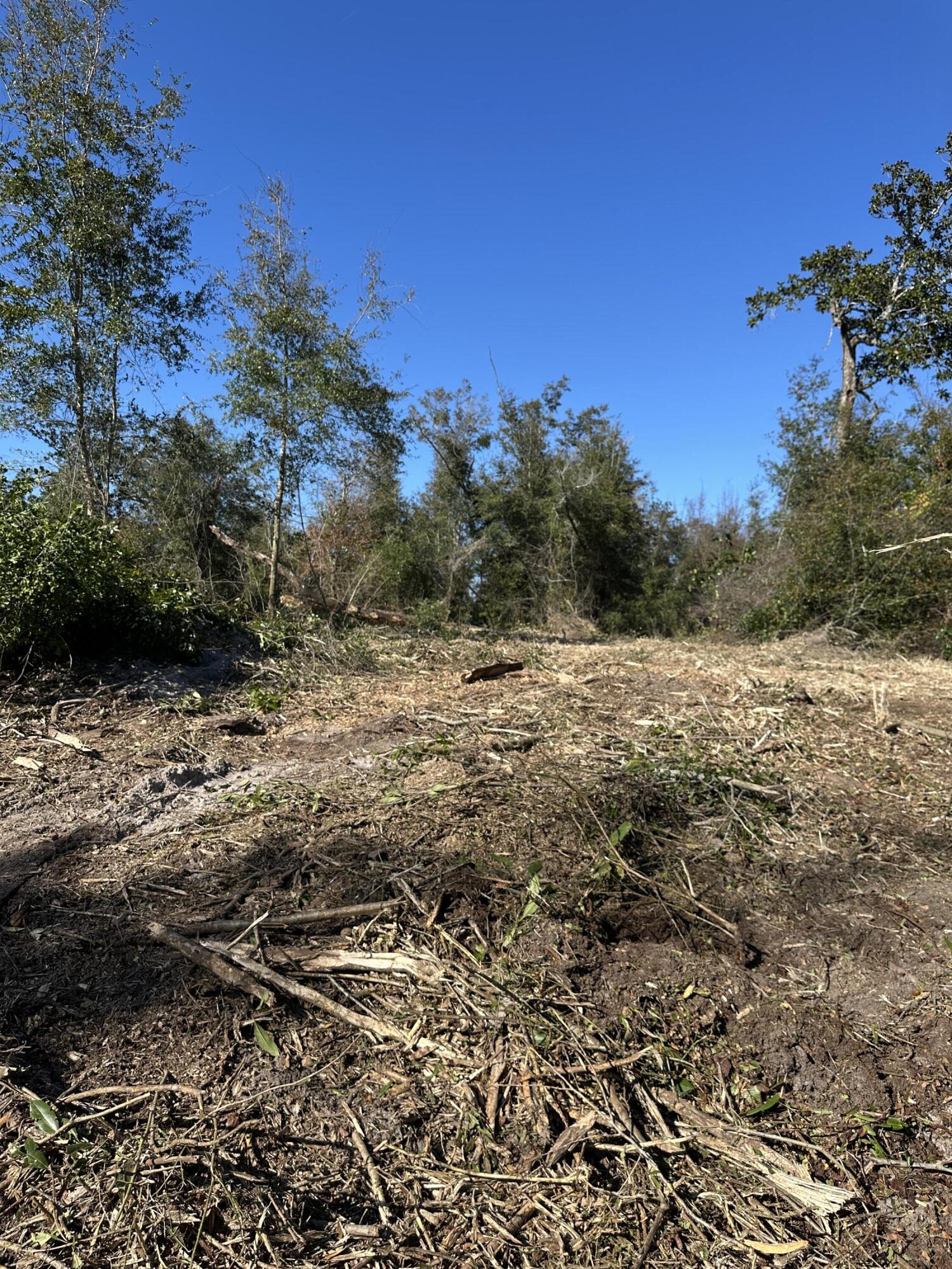 This waterfront lot was recently partially cleared ready for your dream home. Build your dream home on this lovely cul-de-sac lot with two nearby boat ramps, Bay Head North Boat Ramp and Cherokee Landing. Direct access to Deer Point Lake from the waterfront canal. Possible owner financing available. Seller also selling lot 35 Indian Bluff.