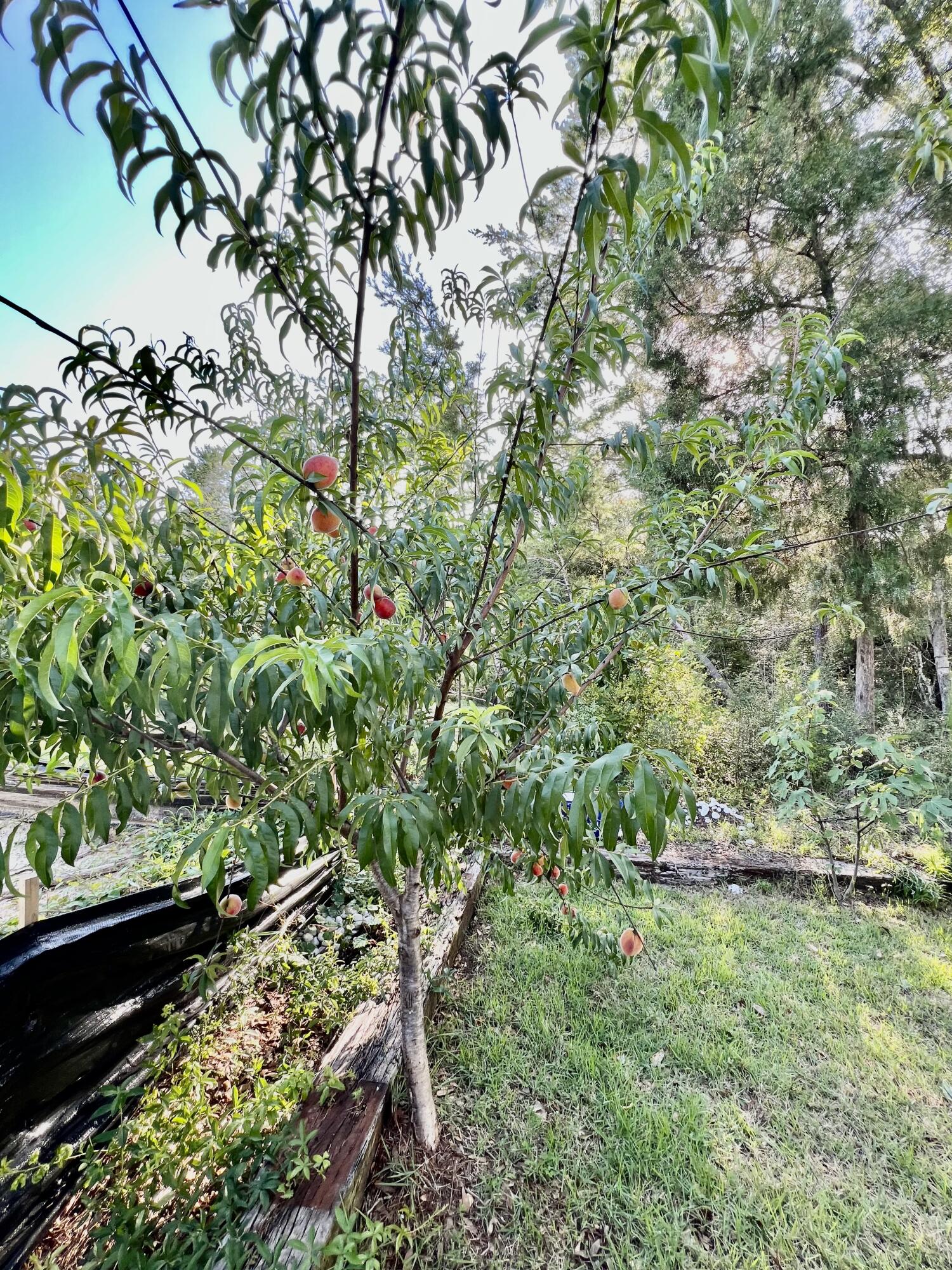 LAGRANGE LANDING - Residential