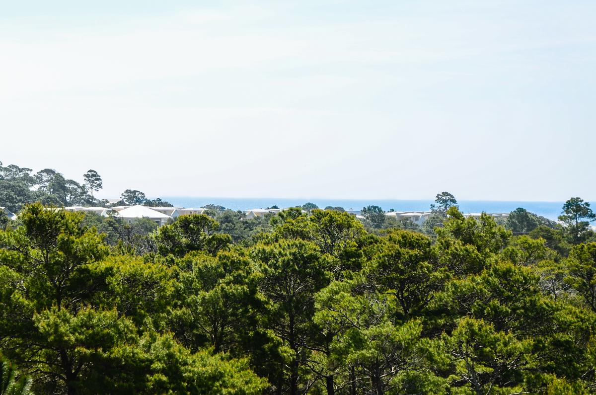 GULF PLACE AT SANTA ROSA BEACH PH 3 - Land