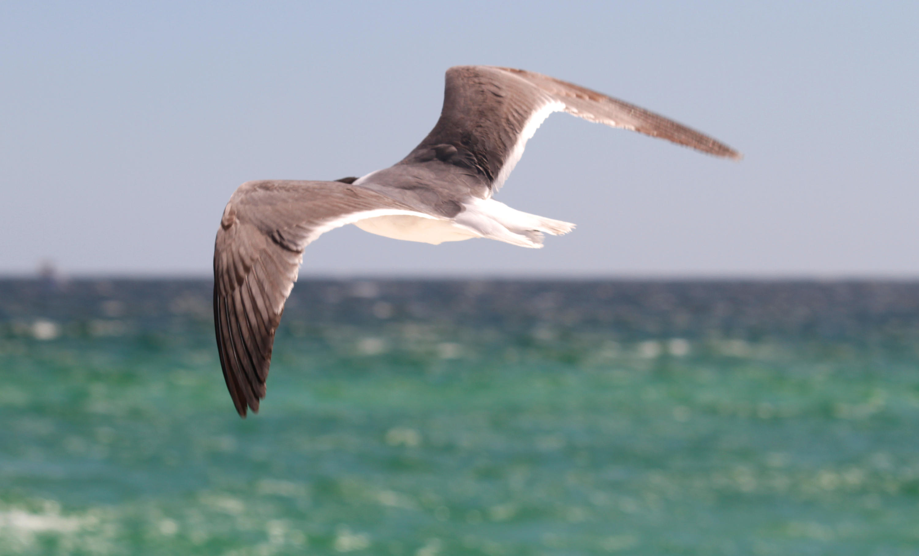 GULF PLACE AT SANTA ROSA BEACH PH 3 - Land