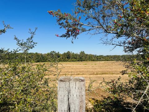 Photo of Lot 7 E Highway 2 Highway, Bonifay, FL 32425 (MLS # 987733)