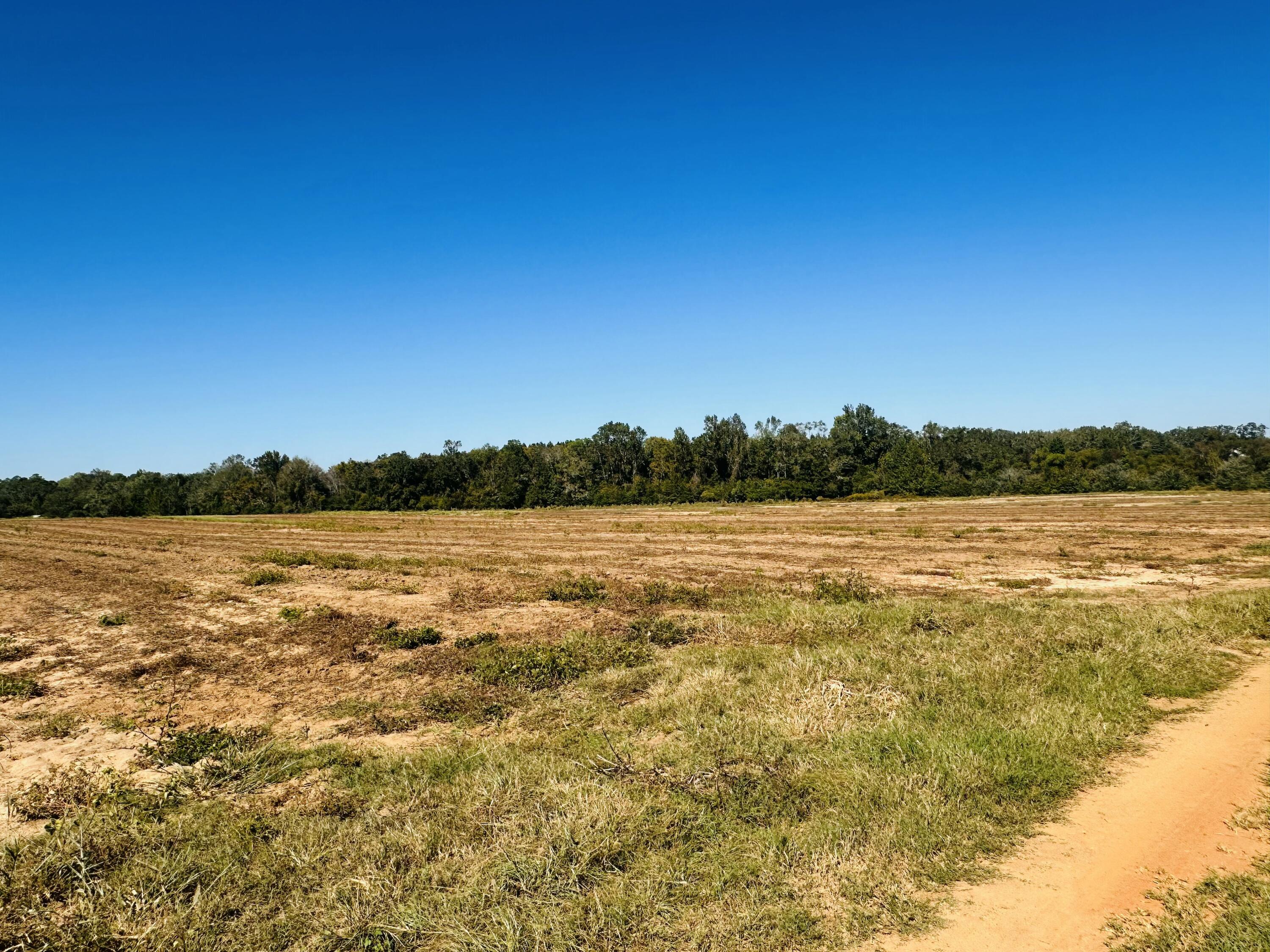 Jennifer Thompson Meadows - Land