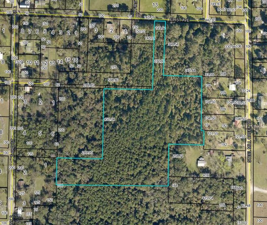 Back on Market at no fault of the seller! Sitting at approximately 10.15 acres, Nested close the center of Laurel Hill, this untouched lot could potentially be a prime area for development, lot split, or a secluded getaway, so get out those building plans and let your creativity run wild! Notes: The street is 'First Avenue' however the Geo-location tool corrected to '1st Avenue'. Public water system access, electric service access, and telephone system access are available but not connected.