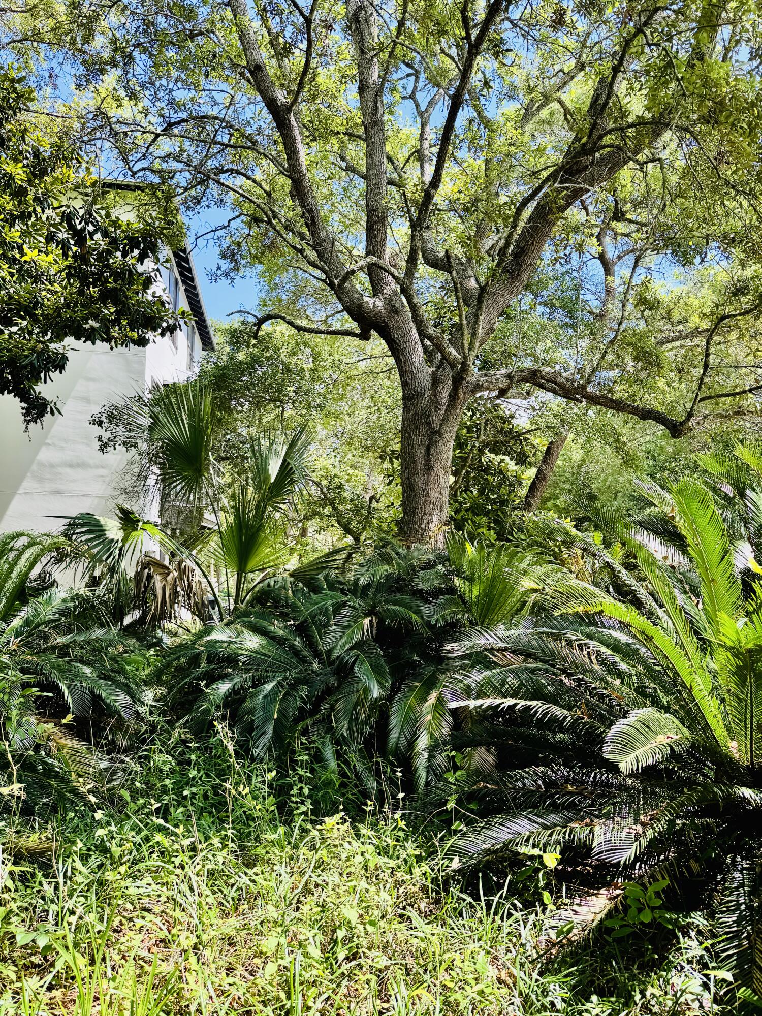 SEAGROVE 1ST ADDN - Residential