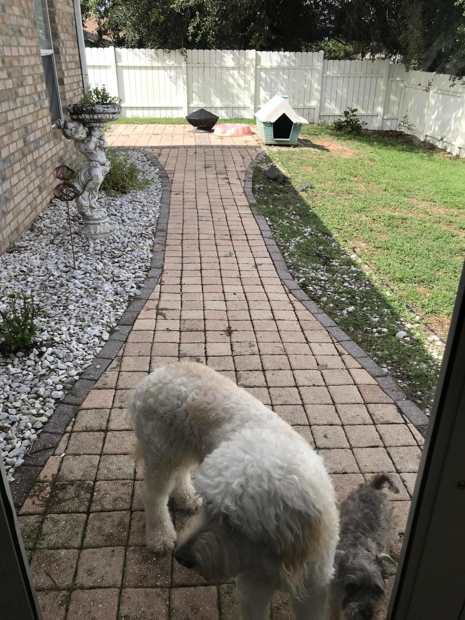 NORTHVIEW ESTATES 5TH ADDN - Residential Lease