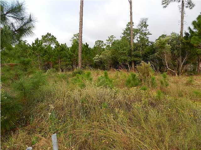 SOUND HAMMOCK - Land