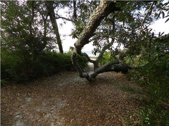 SOUND HAMMOCK - Land