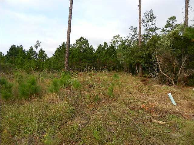 SOUND HAMMOCK - Land