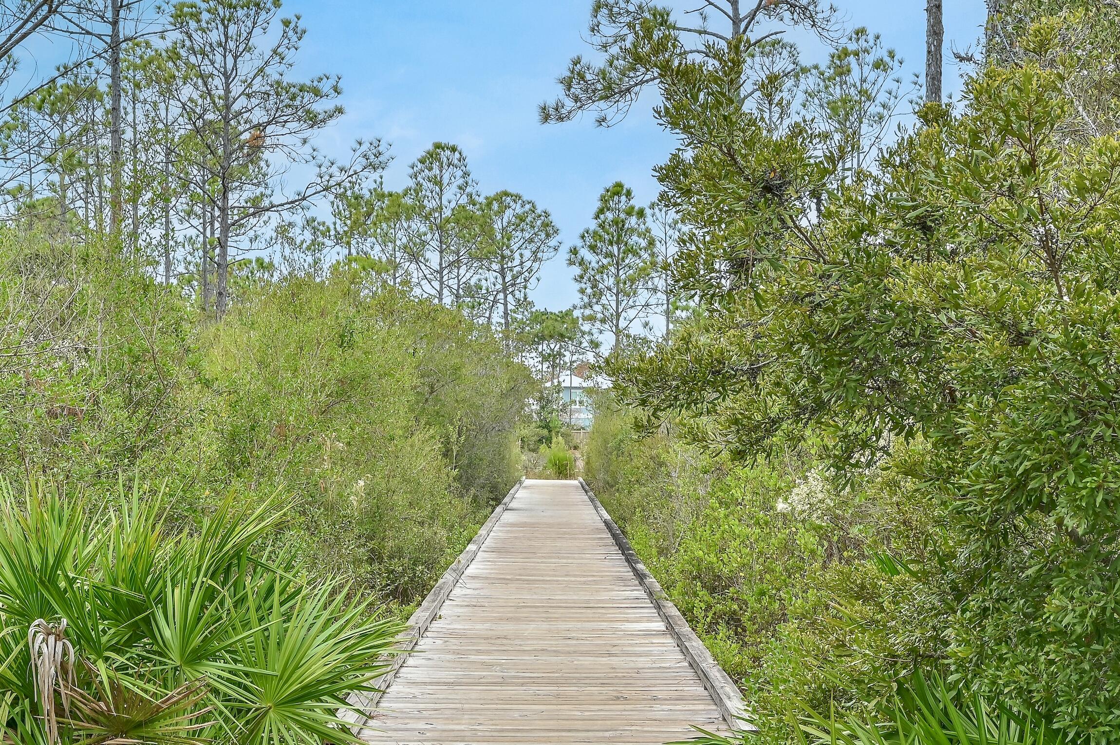 NATUREWALK AT SEAGROVE - Residential