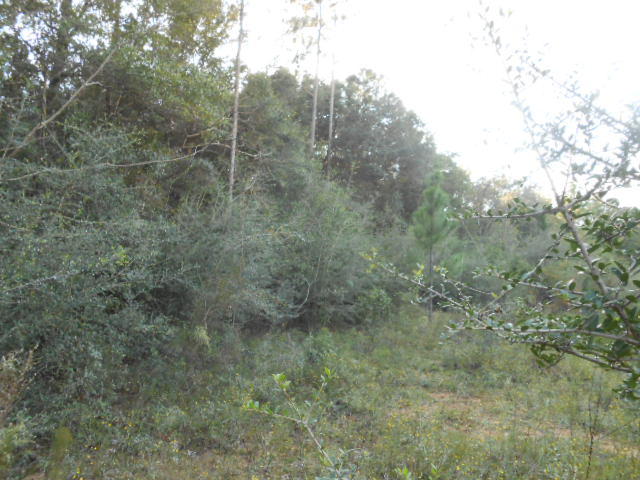 Clear Creek Farms - Land