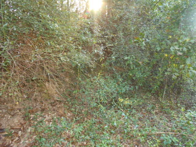 Clear Creek Farms - Land