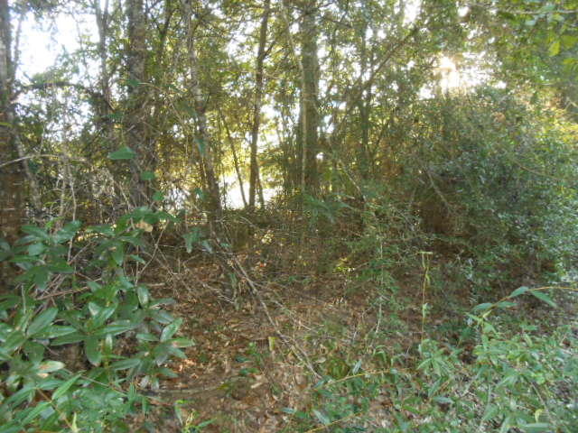 Clear Creek Farms - Land