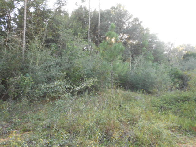 Clear Creek Farms - Land