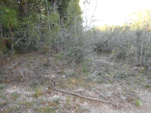 Clear Creek Farms - Land