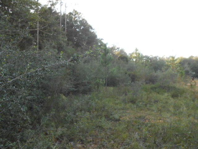 Clear Creek Farms - Land