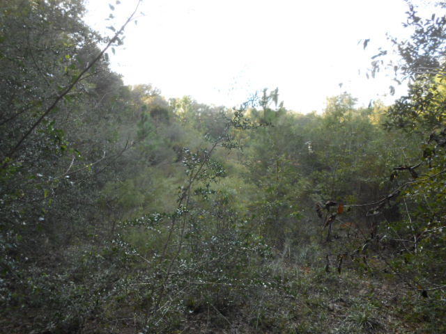 Clear Creek Farms - Land