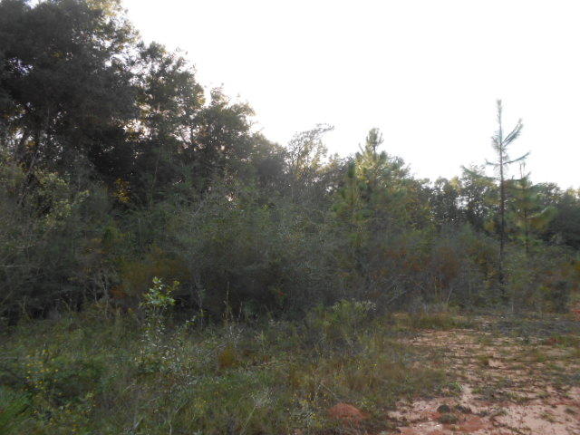 Clear Creek Farms - Land