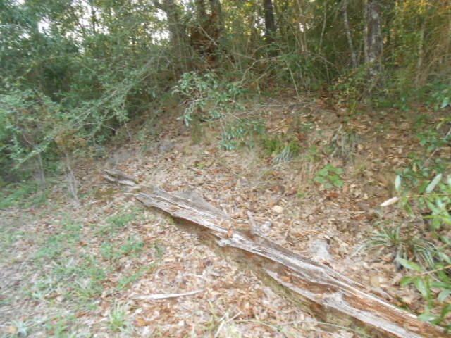 Clear Creek Farms - Land