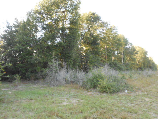 Clear Creek Farms - Land