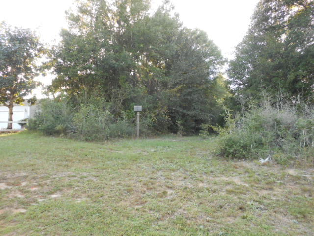 Clear Creek Farms - Land