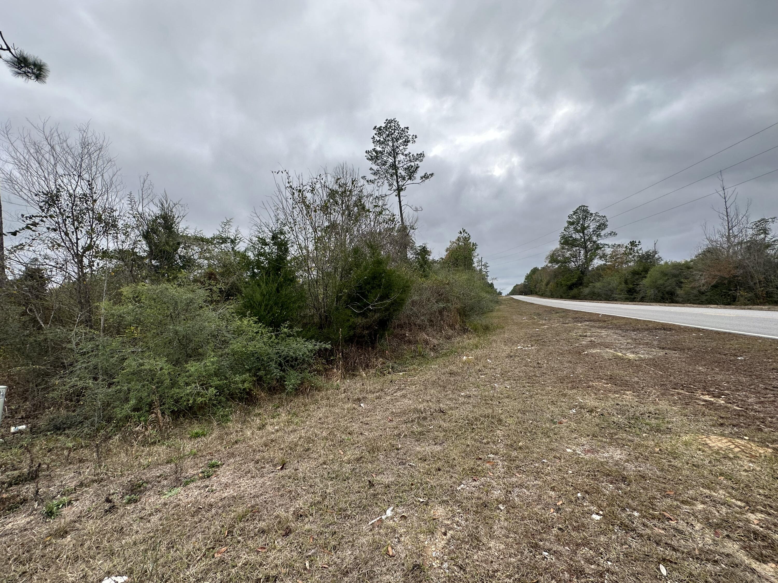 Dream Location for Country Living or Hunters Paradise either way you won't want to miss this opportunity! This Beautiful 26.36+/- Acres of prime land on a corner lot has so much to offer. Dirt rd on White and paved rd on Douglas Ferry Rd. Bring your build plans, hunting gear, Horses and ATVS LOCATION LOCATION!!!! This Property has Easy Access to Panama City Beaches I-10, Hwy 79, Hwy 81, and Hwy 90.