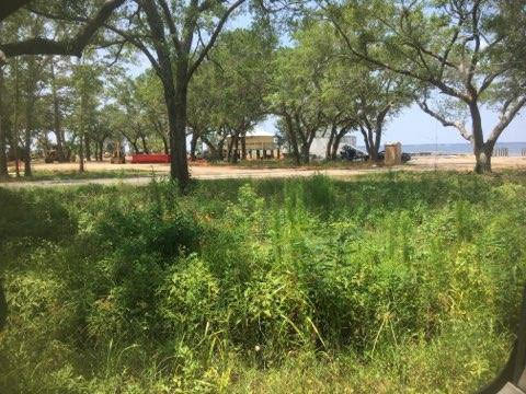 Wooded lot across from Choctawhatchee Bay. This home site could easily have water views by building up. The new Walton County Bay Grove Park is scheduled to open Summer 2019, to include boat and kayak launches with recreation facility.