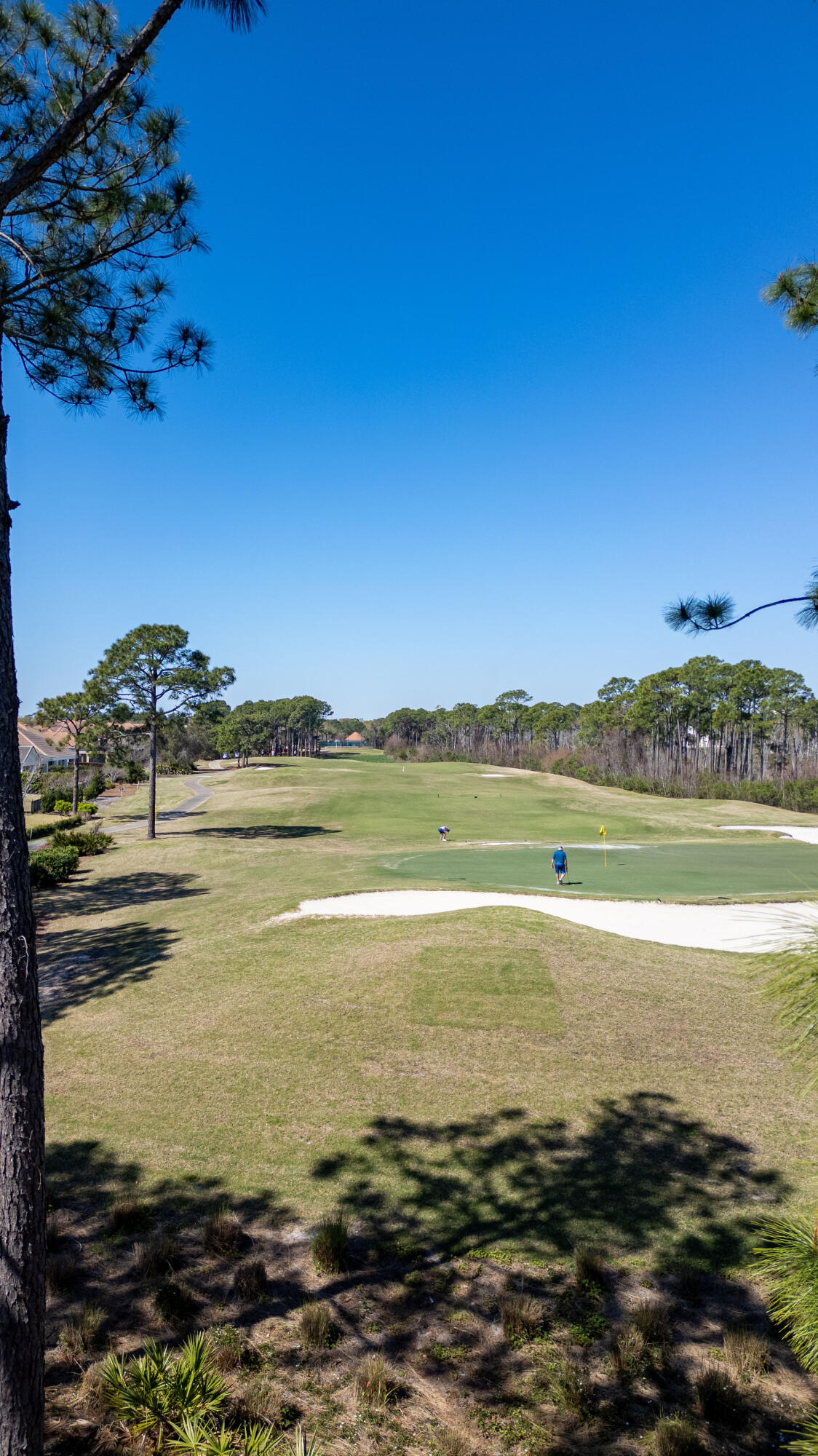 REGATTA BAY PATIO HOMES - Residential
