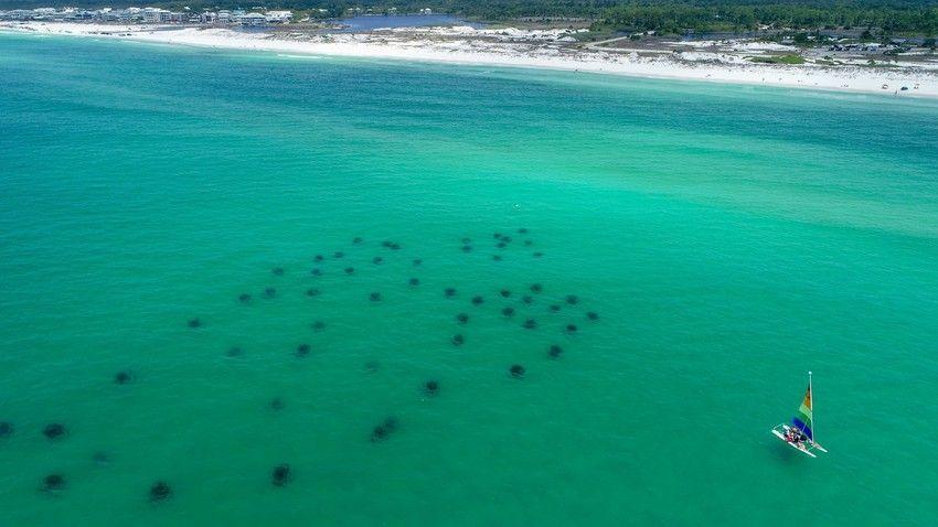 Grayton Beach - Residential