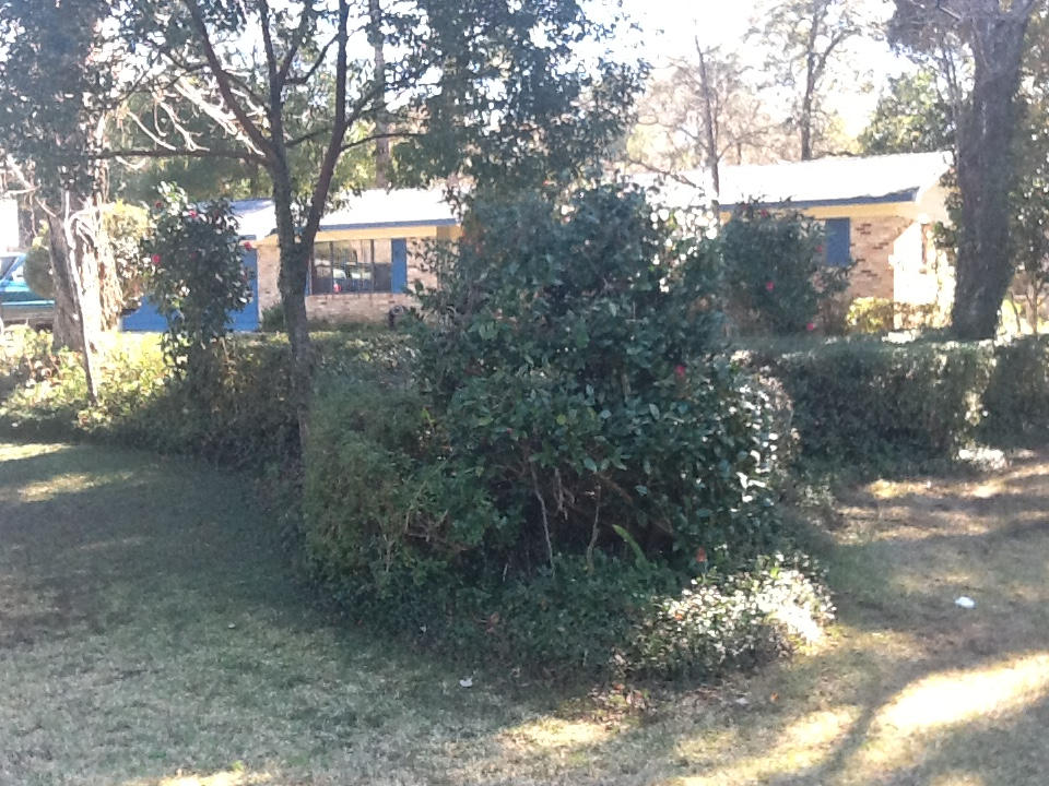 LONGWOOD - Residential