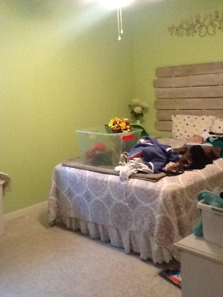 LONGWOOD - Residential