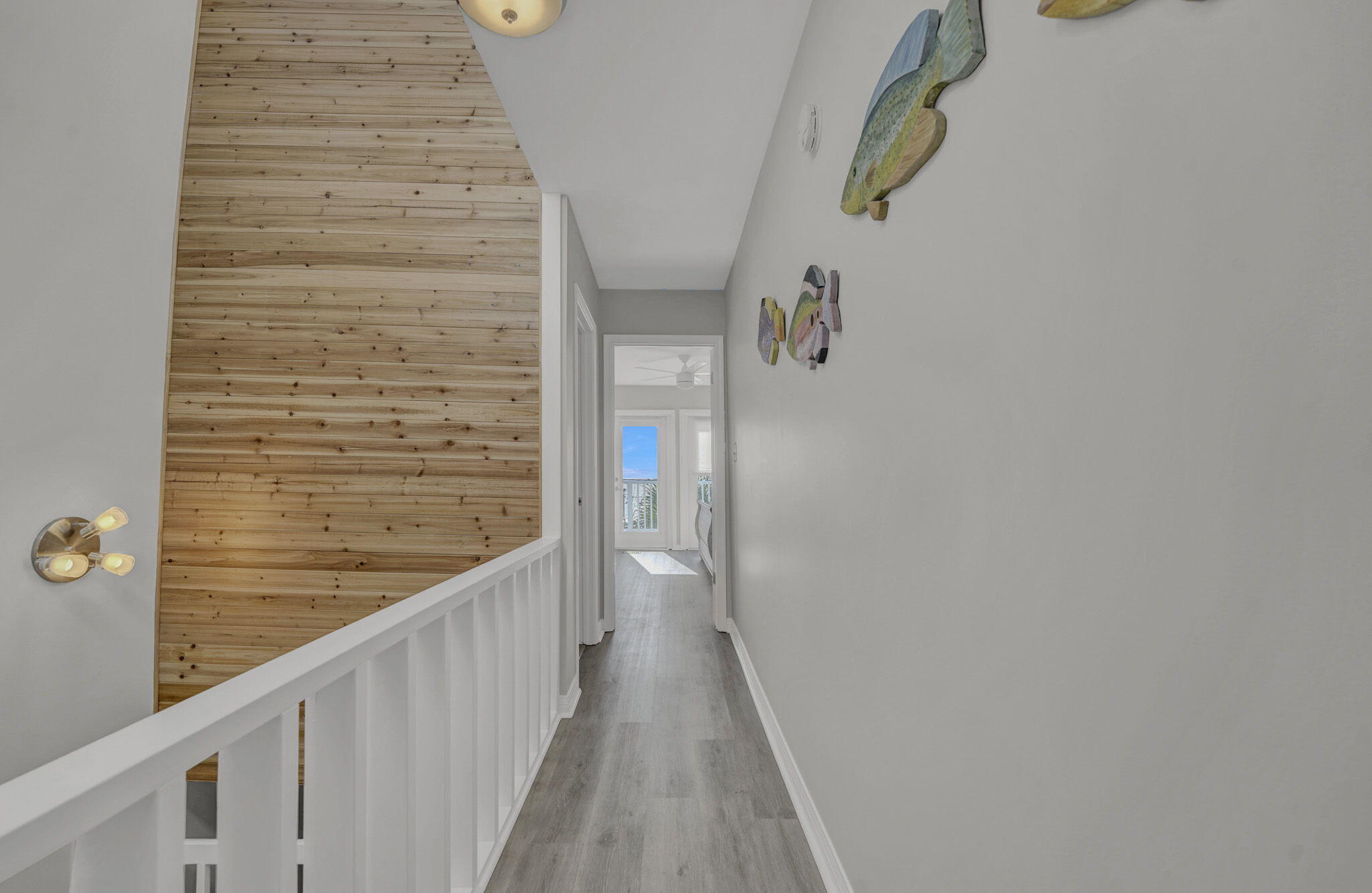 Dolphin Watch - Residential