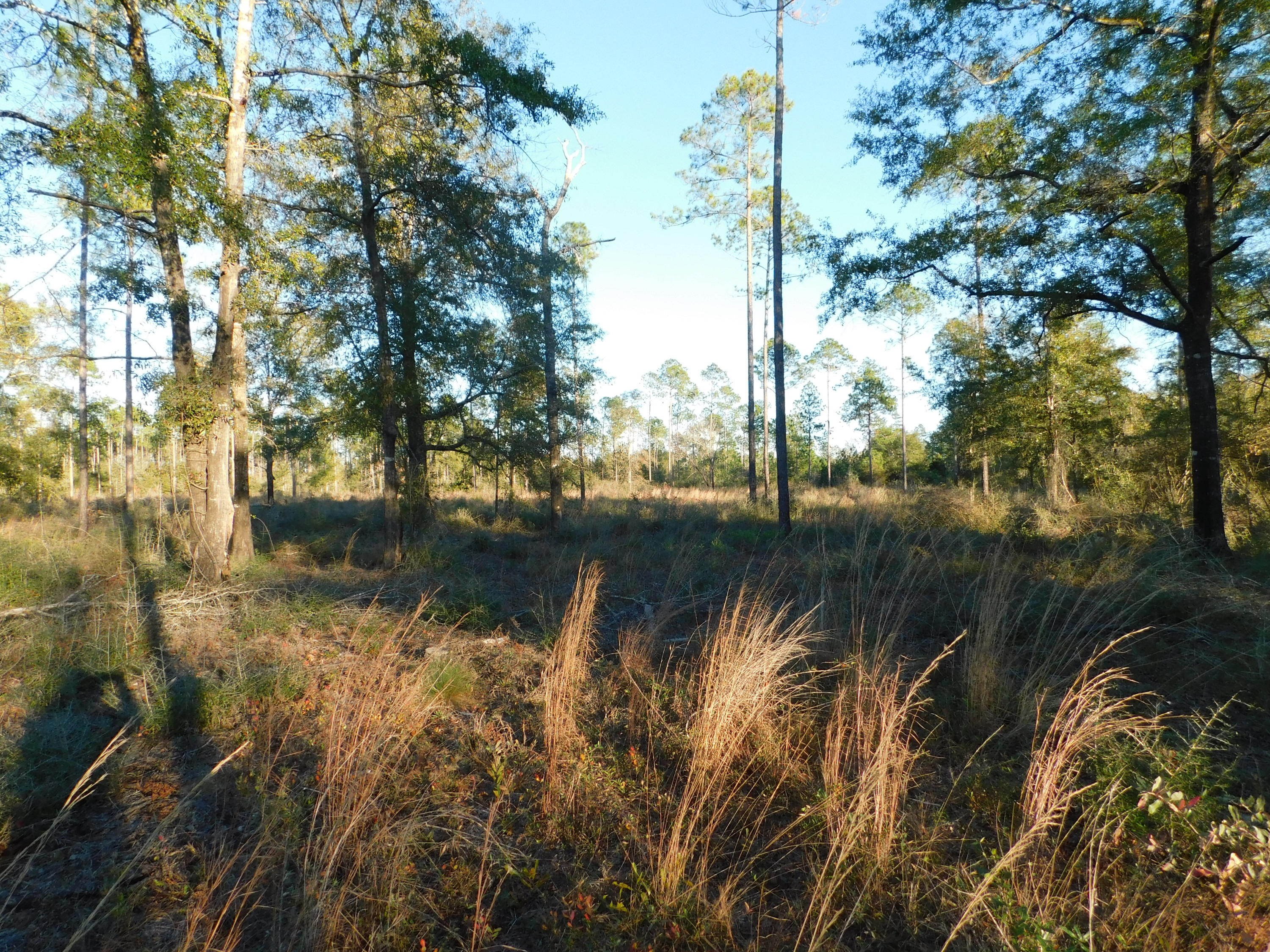 Metes and Bounds - Farm