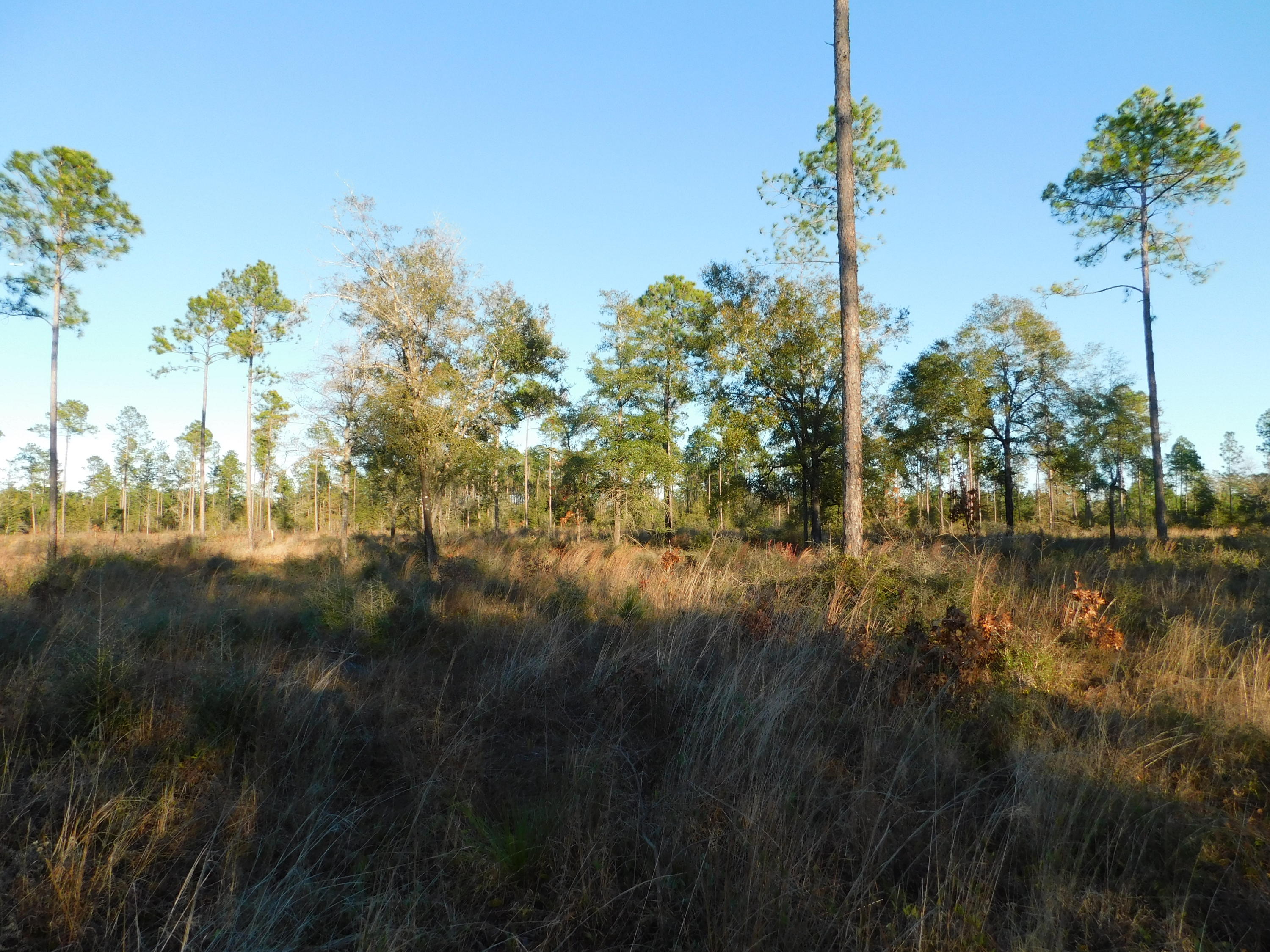 Metes and Bounds - Farm