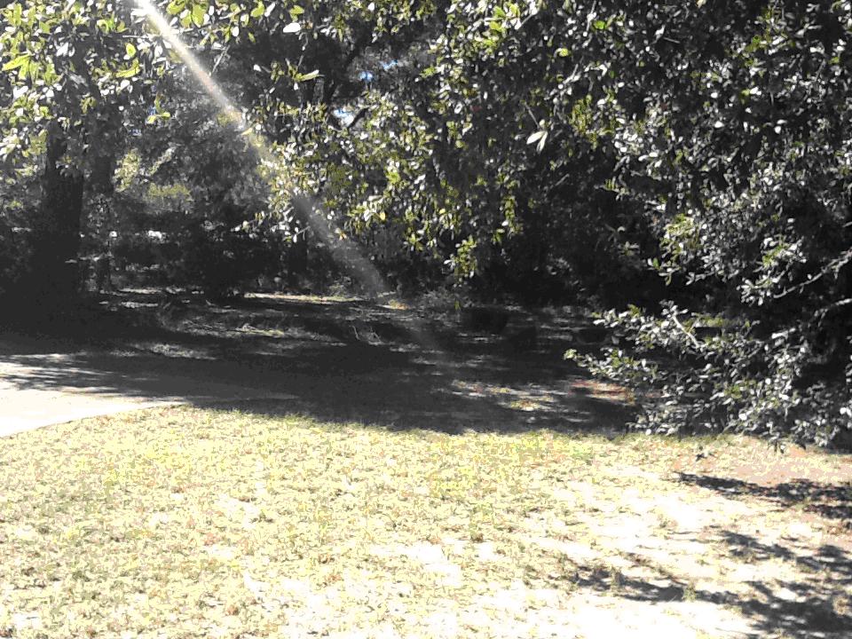 The Cedars - Residential