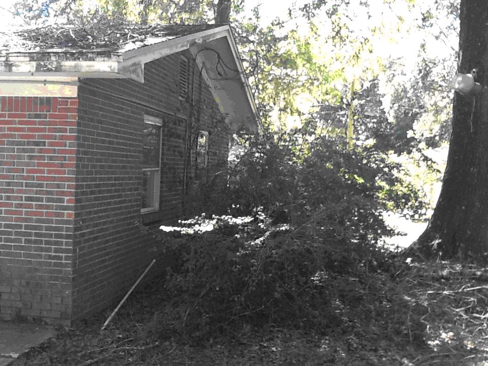 The Cedars - Residential