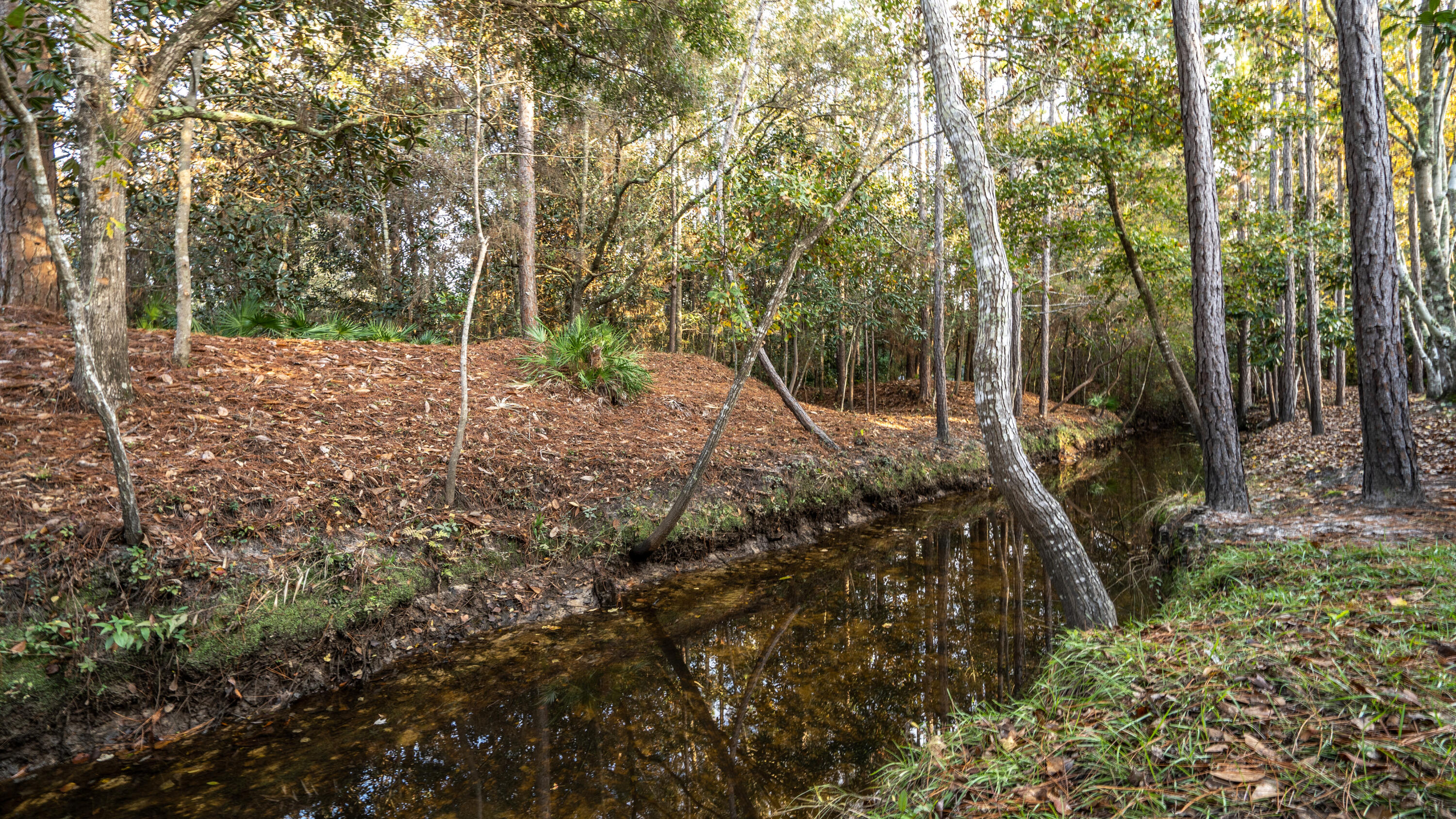 SANTA ROSA BEACH - Residential
