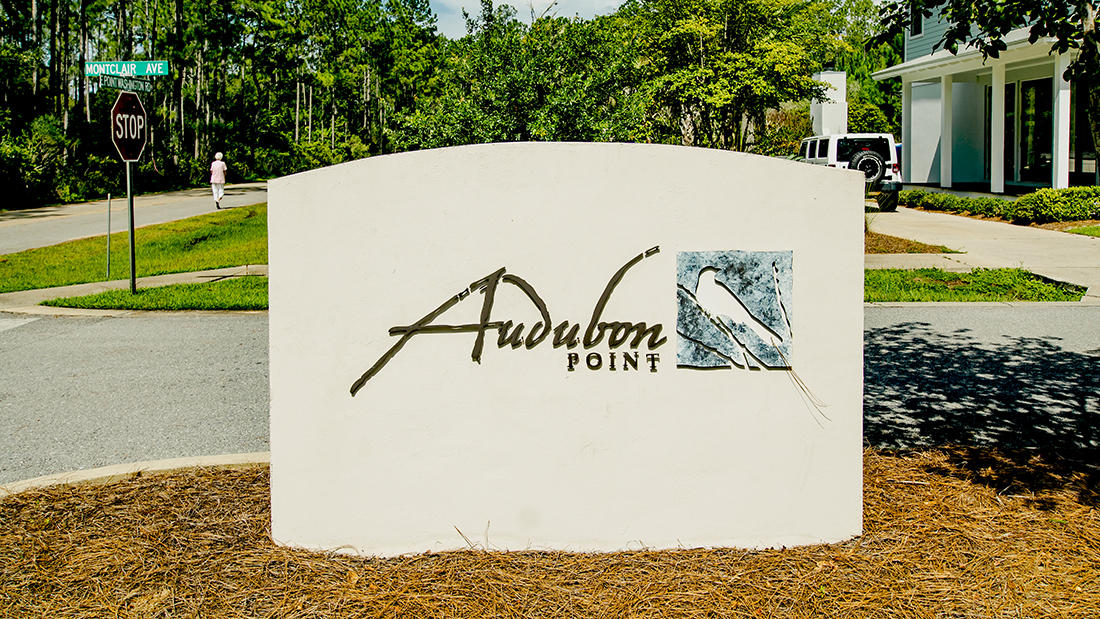 AUDUBON POINT - Residential