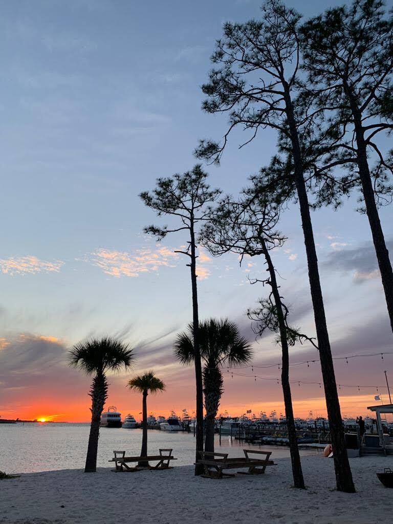 POINCIANA PLACE - Residential