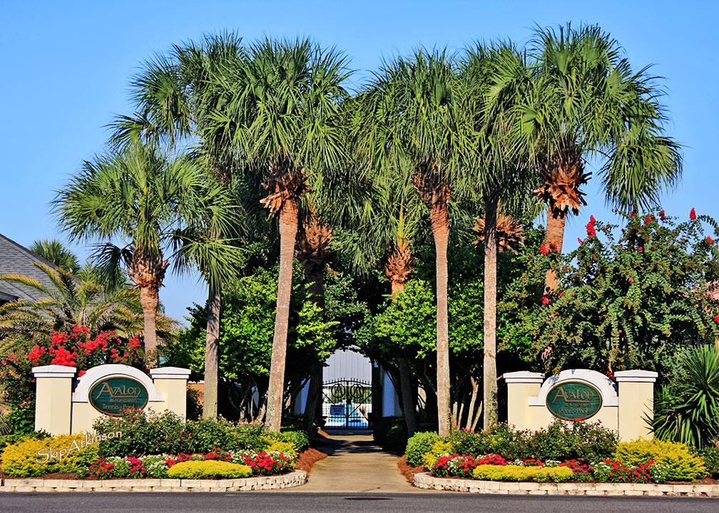 AVALON BEACH ESTATES - Residential